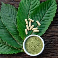 Kratom — W.H.P.M., Inc.® Industry Leading