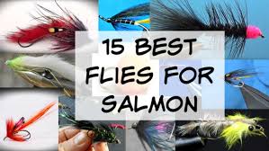 It is known commonly as the giant salmonfly. 15 Best Flies For Salmon Pictures Included Guide Recommended