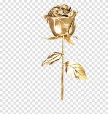 Check spelling or type a new query. Flower Rose Pink Clip Art Rose Gold Roses Transparent Png Pngset Com