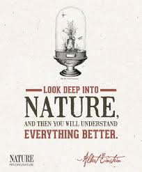 Nature On Pbs Watch Award Winning Wildlife Documentaries Nature Quotes Inspirational Nature Quotes Einstein