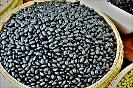 Dry beans are harvested when they rattle in the pod. Learn How To Grow Black Beans In 7 Easy Steps