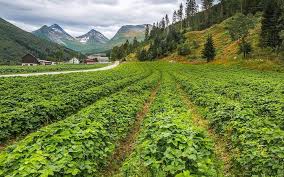 Is the county's second city, known for its ice hockey team and its mining industry. Vasterbotten County 2021 Best Of Vasterbotten County Sweden Tourism Tripadvisor