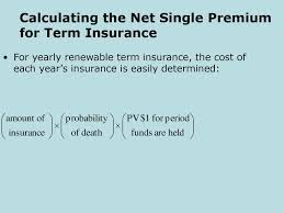 How to calculate life insurance premium formula. Calculation Of Life Insurance Premiums Ppt Download