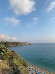 Image result for Gilgiochloa