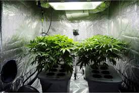 Image result for inline fan for cannabis
