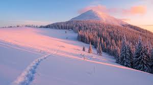 Hiver Pente Arbres Neige Montagnes Rayons Du Soleil Fonds D Ecran 3840x2160 Uhd 4k Paysage Hiver Fond Ecran Paysage Fond Ecran Hiver