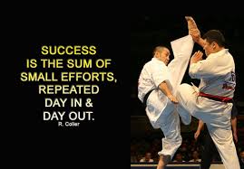 Karate Quotes Inspirational. QuotesGram via Relatably.com