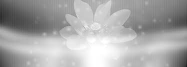 Animasi gambar hewan hewan peliharaan : 2