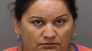 Roswell, GA, pair charged in Wake County, NC, undercover meth buy