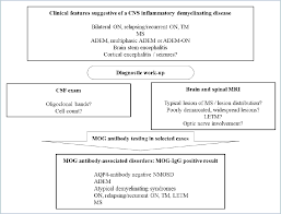 Myelin Oligodendrocyte Glycoprotein Antibody Associated Disorders Clinical Spectrum Diagnostic Evaluation And Treatment Options