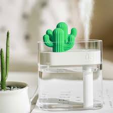 Tanaman kaktus hias mini adalah tanaman yang unik serta tahan terhadap lingkungan yang kering, kaktus cukup mudah dalam perawatannya. 03cactus Ultrasonic Air Humidifier Aromatherapy Oil Diffuser Desain Unik Bentuk Kaktus H319 Transparent Jakartanotebook Com