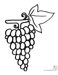 Stampa Disegno Di Pigna D Uva Da Colorare Uva Disegni Colori