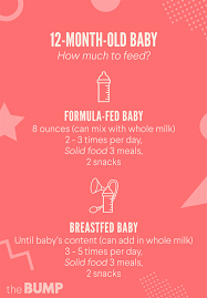 12 Month Old Baby Baby Month By Month Baby Month By Month 7 Month Old Baby Food 5 Month Old Baby