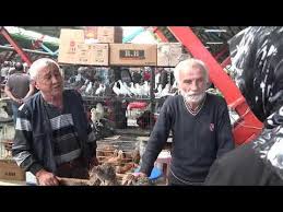 Tavuk Pazari Bursa Soganli Anneannemin Tavuk Krizi Tuttu Youtube Tavuk Tavuk Kumesleri Bursa