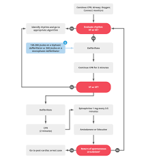 Advanced cardiovascular life support, or acls, is an advanced form of bls. Acls Cardiac Arrest Vtach And Vfib Algorithm Acls Medical Training