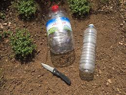 Un arrosage fréquent avec une quantité d'eau parfaitement maîtrisée, et donc sans gaspillage, maintient en effet le terrain bien oxygéné et favorise. Faire Soi Meme Son Goutte A Goutte Jardin Pratique