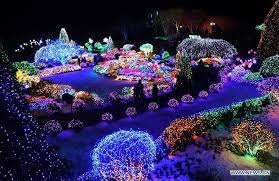 Night Light Show In South Korea Xinhua English News Cn South Korea Light Show Korea Travel
