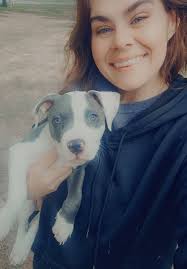 Three month old corgi