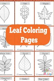 Coloring is one of the most attractive activities for kids of various ages. Leaf Coloring Pages Itsybitsyfun Com