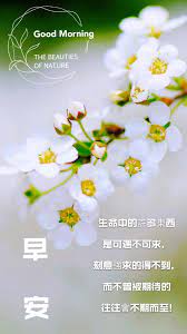 可遇不可求的期待 morning greeting good morning morning