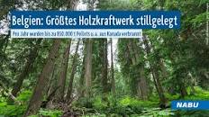 dali48author (@dali48) / Twitter