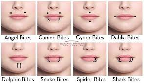 Snakes are unlikely to bite dogs, cats, and humans; Was Sind Snakebites Piercing
