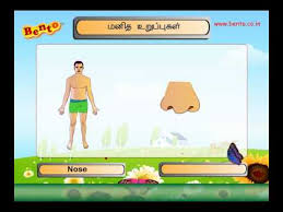 Learn vocabulary, terms and more with flashcards, games and other study tools. Tamil Language à®¤à®® à®´ Parts Of The Body Study And Learn Tamil Language à®¤à®® à®´ M A L Masteranylanguage Com