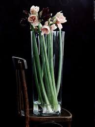 Nina Broberg Christmas Flowers Beautiful Flowers Tall Glass Vases