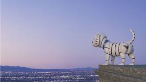 Purpose Unplugged: What Really Gets You Out of Bed?