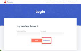 Cannot log in / How to access your account - ThemeIsle Docs