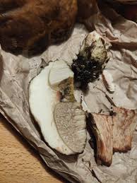 Image result for Boletus projectelloides