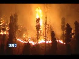 Importante incendio de madrugada en un edificio de tenerife. Incendio Forestal En La Isla De La Palma Santa Cruz De Tenerife Youtube