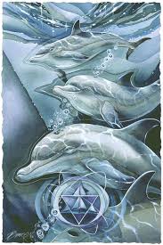 Born Beneath A Dolphin Star Prints In 2020 Spirit Animal Totem Dolphins Animals Artwork