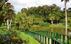 Things to do near botanical garden in rio piedras. Jardin Botanico De Puerto Rico San Juan Botanical Garden