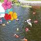 Swim & Paddle the South River
