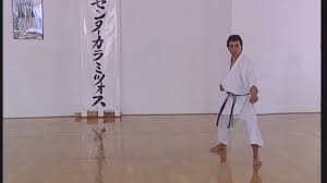 Freies deutsches wörterbuch für synonyme, gegenwörter und assoziationen. 27 Katas Karate Dojo Kelkheim