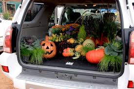 Don T Stress About Dirt Plants Or Fall Decor Ruining Your Cargo Area Shop Your Customized Cargo Liner At Canv Diy Garden Projects Cargo Liner Garden Projects