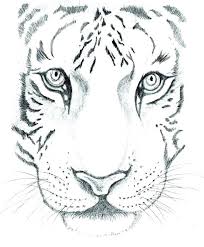 Sketches Animals Easy Draw Cartoon Puppy Very Cute Cute Animal Drawing with pencils is one of them.
