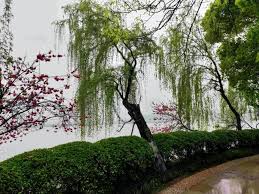 About | L0phTg' Blog