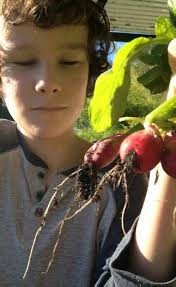 2017 School Magazine