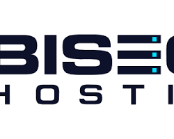 Image of BisectHosting Minecraft server hosting logo