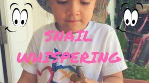 Snail Whispering/How To Make A Snail Come Out Of Its Shell/ Little Big Shots