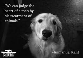 Quotes That I Love Animal Quotes Dog Quotes Dog Love