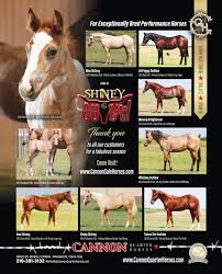 Image result for Light Buckskin 1989 Colt