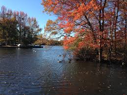 If you are in long island and looking for a place to host an event or spend the day away from city life, make a stop at belmont lake state park. Chill Brings Fall Colors To Belmont Lake State Park Deer Park Ny Patch