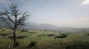 Red dead redemption 2 background. Red Dead Redemption 2 Rdr2 Open Field Live Wallpaper Youtube