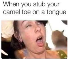 Camels are used for carrying things and for transportation through deserts. When You Stub Your Camel Toe On A Tongue Meme Sharecopia Memes And Videos Worth Sharing