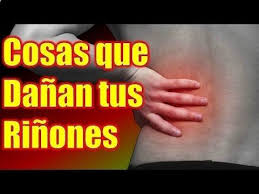 Los Rinones Son Organos Vitales Para El Buen Funcionamiento Del Cuerpo Humano Rinones Sintomas Del Rinon Rinones Inflamados