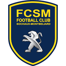 The total size of the downloadable vector file is 1.4 mb and it contains the fc metz logo in.ai format along with the.png image. Fc Metz Logo Download Logo Icon Png Svg