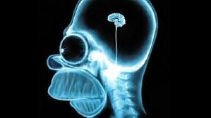 Estos son los tres tipos de estupidez humana